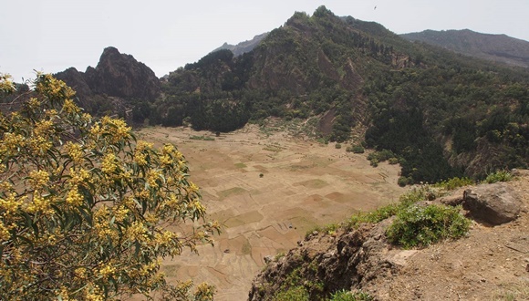 La colonización humana provoca cambios en la vegetación de islas de todo el mundo 11 veces más intensos que el clima