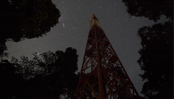 On top of towers like this in the middle of the Amazon are the instruments used to capture the volatile organic compounds emitted by plants. Author: Ana María Yáñez.