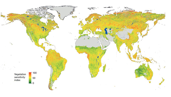 Índex de la sensivitat de la vegetació al canvi climàtic. Quant més vermell més sensible és la zona, i quant més verd, menys sensible al canvi climàtic. Font: The State of the World's Plants