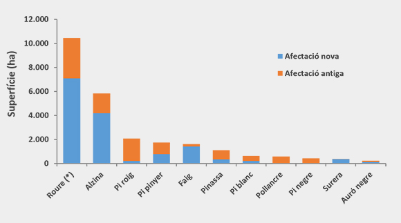 Gràfic amb les hectàrees d’afectació per espècies. En blau, la superfície afectada durant el 2016; en taronja, la superfície de cada espècie que ja estava afectada els anys anteriors. Font: DeBosCat. *Inclou les espècies de roure martinenc, roure cerrioide i roure de fulla petita.