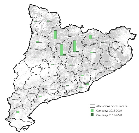 Mapa de les afectacions per processionària en cada comarca catalana durant les campanyes de 2018-19 i 2019-20. Crèdit: Alerta Forestal/CREAF.