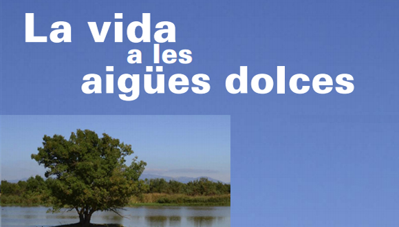 La vida a les Aigues Dolces