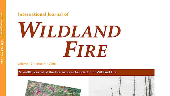 Wildland Fire