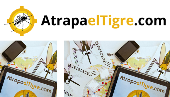 Consulta l'Agenda de Atrapa el Tigre