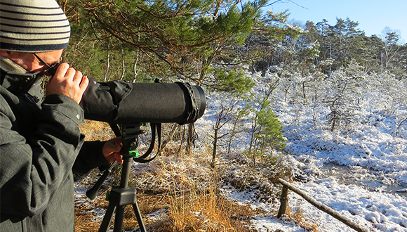 Observasión y recuento de aves durante el invierno a Düben Heath (Alemania). Autor: Dirk Schmeller.