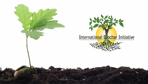 International Biochar Initiative 