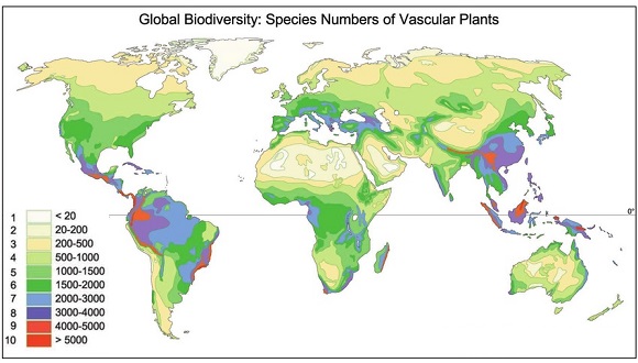 biodiversity_vascular_plants