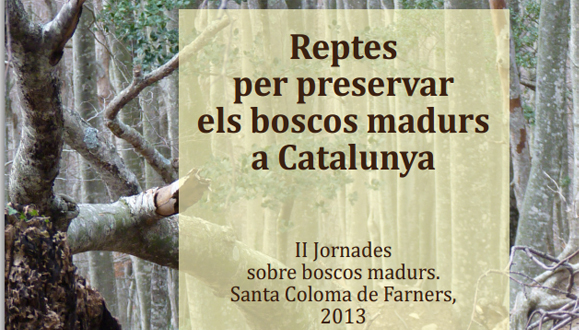 Reptes per preservar  els boscos madurs a Catalunya