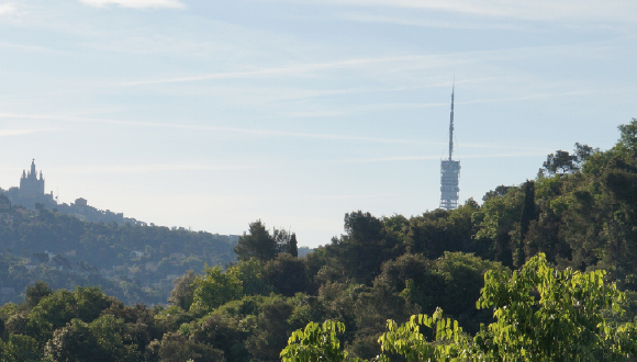 Collserola