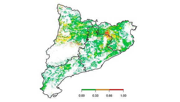 Mapa en baixa resolució que mostra el grau de vulnerabilitat dels boscos en l’escenari de sequera lleu a escala de Catalunya