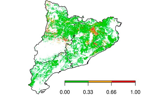 Mapa en baixa resolució que mostra el grau de vulnerabilitat dels boscos en l’escenari de sequera moderada a escala de Catalunya