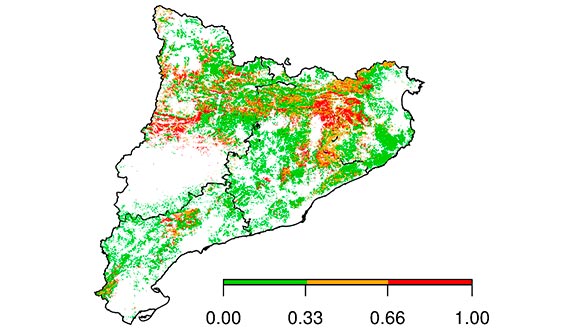 Mapa en baixa resolució que mostra el grau de vulnerabilitat dels boscos en l’escenari de sequera severa a escala de Catalunya