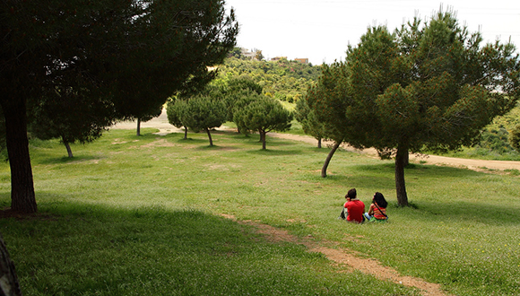 El Parc de Collserola és una de les zones verdes de l'AMB amb més afluència. F.Moya (CC BY-SA 2.0) 