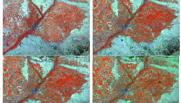 Expansion of irrigation in Lleida seen from Landsat