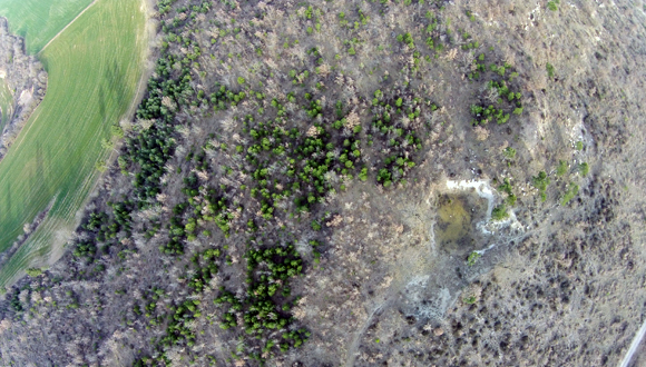 Zonas afectadas por el incendio forestal de 1998 cerca de Solsona y donde se estudia la regeneración de pino a partir de los árboles que sobrevivieron.