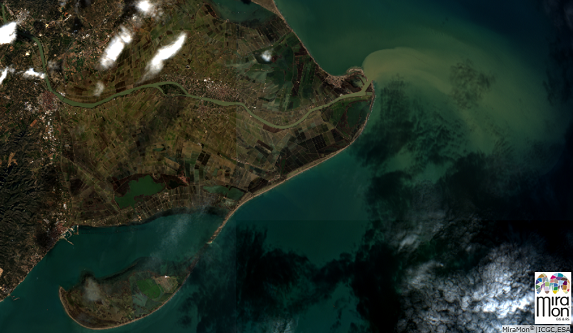 Image captured by the European Space Agency’s Sentinel satellite on 26 January 2020, following Storm Gloria. It shows the large quantity of sediment deposited in the sea by the Ebro, with the surface of the river’s delta, including the Barra del Trabucador, covered by water. Photo: Grumets.