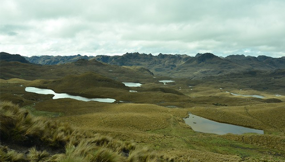 El Parc Nacional Cajas està ubicat a la província andina d’Azuay, a l'Equador. Font: UB