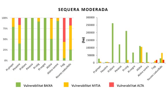 Gráfico de la vulnerabilidad de las especies forestales en porcentaje en el escenario de sequía moderada