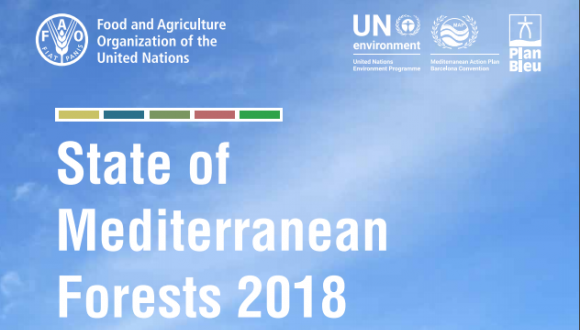 Portada del informe de la FAO 2018