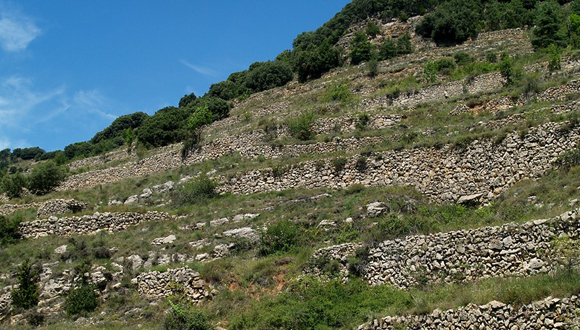 Feixes de conreu abandonades