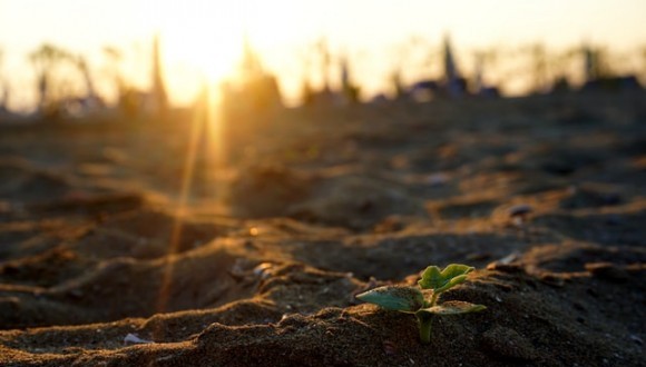 Brot al sol. Foto: Fèlix, de Unsplash