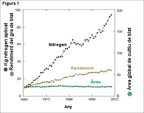 Nitrogen celiaquia fig 1 catala