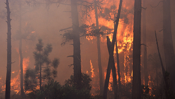 Necesitamos una estrategia de planificación orientada a aprender a convivir con los incendios