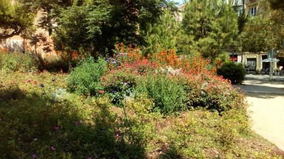 Parc Gaudí abans de la gestió. Foto: Voluntària de l'uBMS