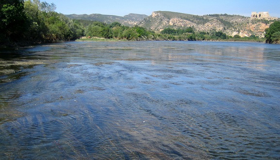 Erbe river in 2009, once transparency was recovered. Photo: Carles Ibáñez/IRTA