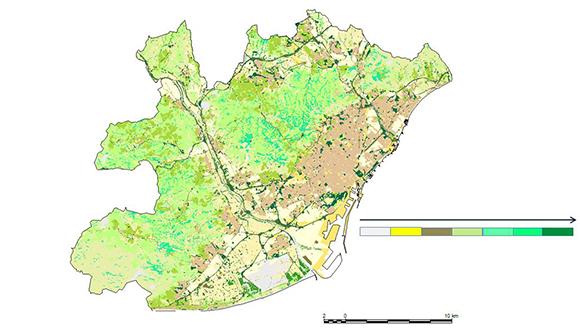 fulles mapa blog