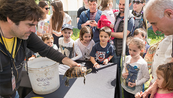 La consultoría ambiental Galanthus Natura realiza una explicación sobre réptiles y amfibios en el BioBlitz de Barcelona. Autor: Museo de Ciencias Naturales de Barcelona.