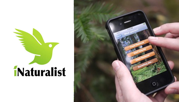 iNaturalist