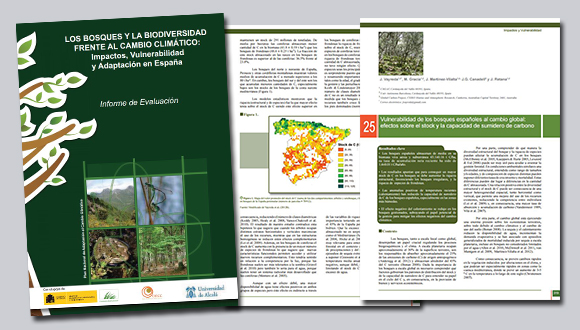 LOS BOSQUES Y LA BIODIVERSIDAD FRENTE AL CAMBIO CLIMÁTICO:  Impactos, Vulnerabilidad y Adaptación en España