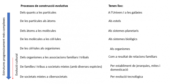 Esquema dels processos de complexificació creixent per evolució constructiva físico-química i cultural i dels llocs on es produeixen. Basat en D.M. Keirsey, Involution: on the structure and process of existence, http://edgeoforder.org/Inv.html