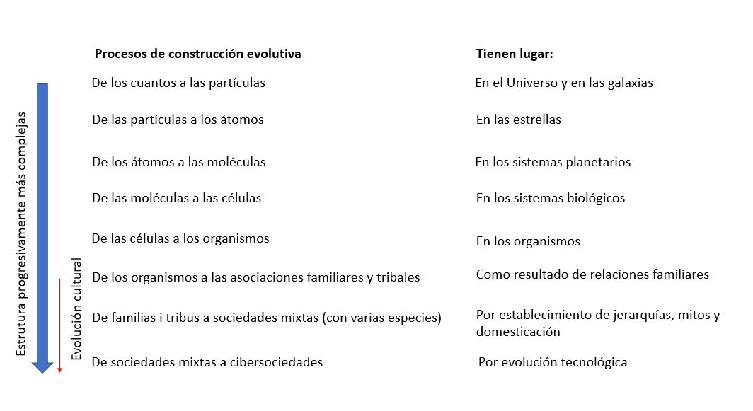 Esquema dels processos de complexificació creixent per evolució constructiva físico-química i cultural i dels llocs on es produeixen. Basat en D.M. Keirsey, Involution: on the structure and process of existence, http://edgeoforder.org/Inv.html