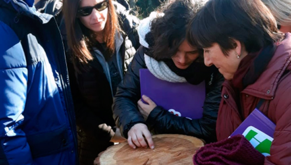 Contando anillos de creiexement podemos sacar muchas conclusiones sobre el clima que ha hecho en un territorio