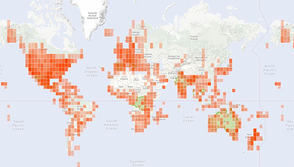 Distribució global de totes les observacions d'insectes.