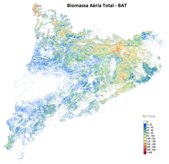 Mapa de carboni emmagatzemat als boscos de Catalunya