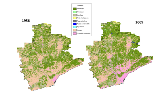 Comparació de mapes de cobertes del 56