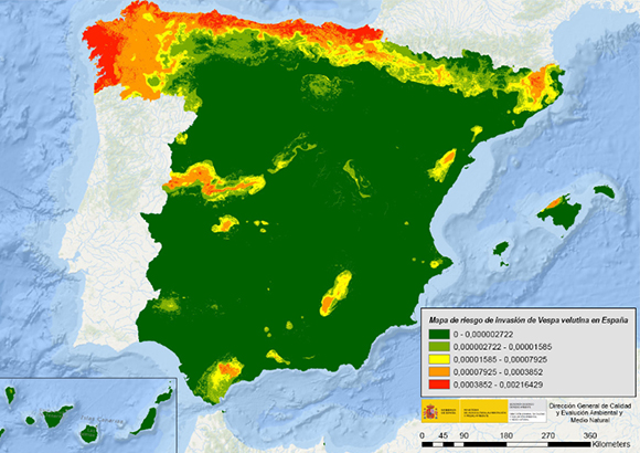 Map risk of invasion of the Asian hornet in Spain.