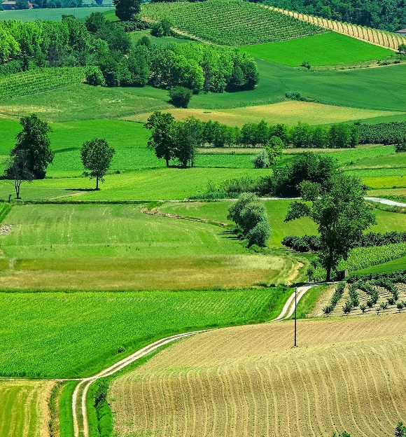 monferrato-mosaic