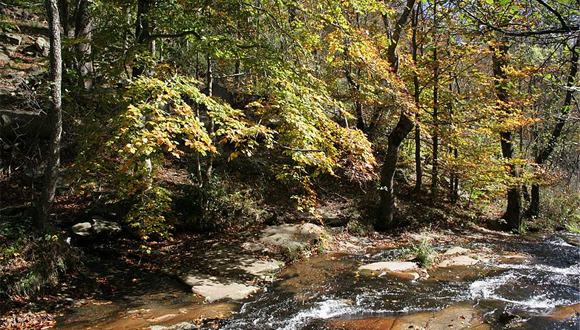 Montseny. Autor: Pixel (Wikimedia Commons) 