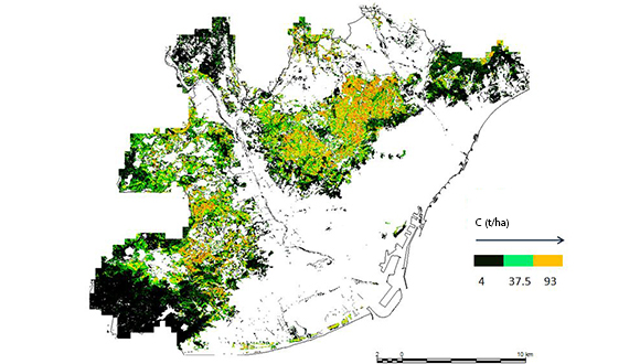 Mapa de las zonas verdes de la AMB con mayores sumideros de carbono. CREAF