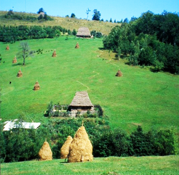 Prats de Transilvània (Romania). Autora: Corina Basnou.