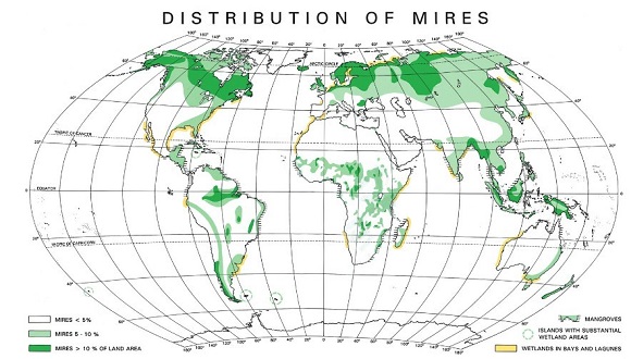 ¿Dónde encontramos torberas? Desde Asia y Europa, hasta hábitats tropicales, pero son más frecuentes en las regiones frías. En Catalunya, por ejemplo, se localizan en la alta montaña del Pirineo.