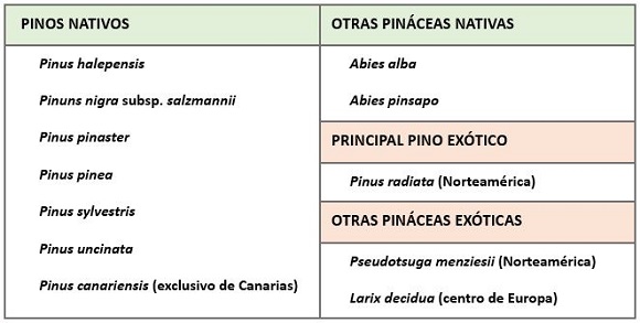 pinosnativos