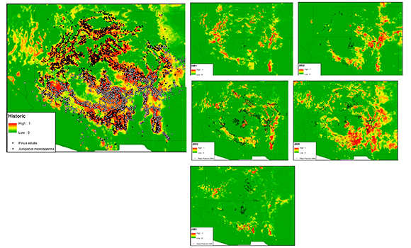 Figure 4. Climatic suitability of Pinus edulis in the SW of North America during the drought period of 2001-2005 (right) and in previous years (left).