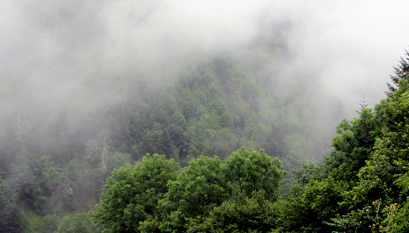 Nubes bajas Foto: M.Martin Vicente