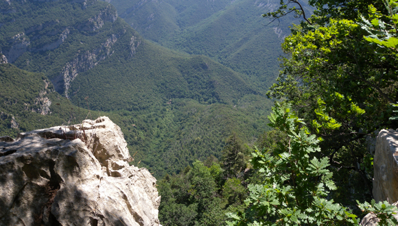 El potassi ha estat, en general, un element poc considerat en els estudis ecològics del creixement dels boscos