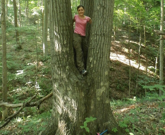 Rossella Guerrieri en el bosc del EE.UU que ella va mostrejar. Autora: Rossella Guerrieri.